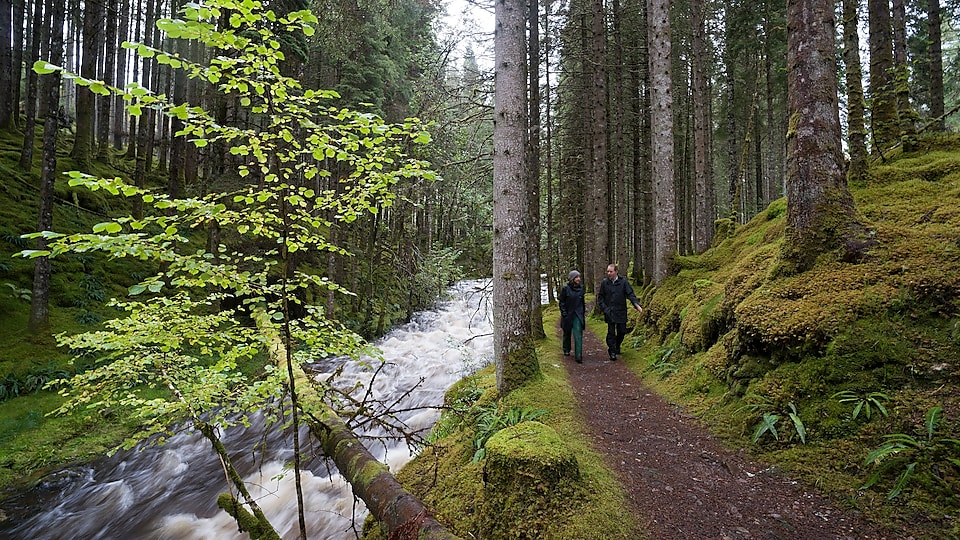 Egy nő és egy férfi hegyi patak mellett halad el egy erdőben