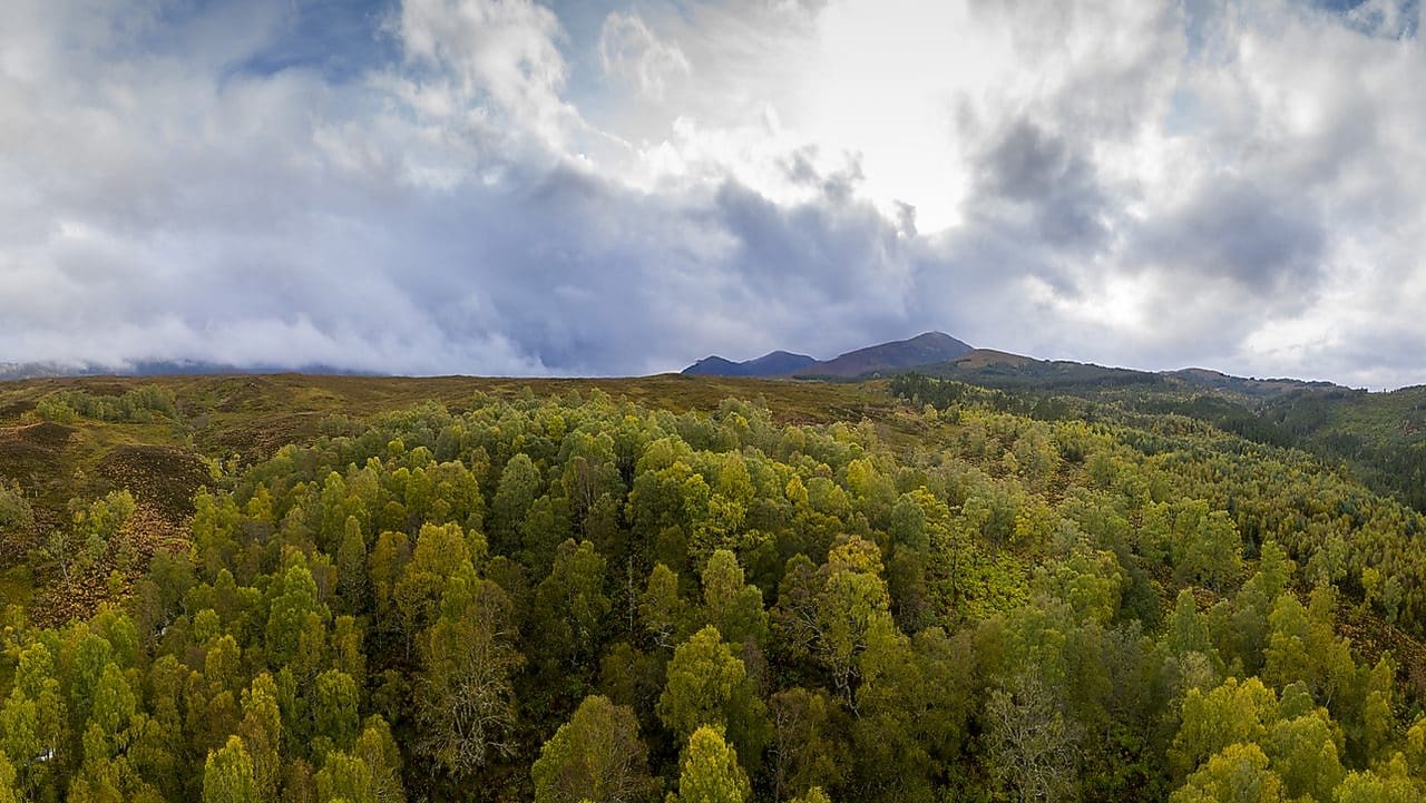 természetalapú megoldások