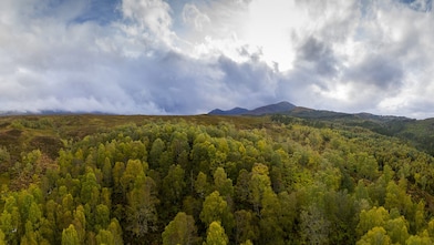 természetalapú megoldások