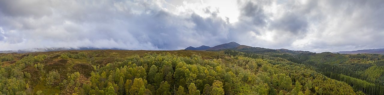 természetalapú megoldások