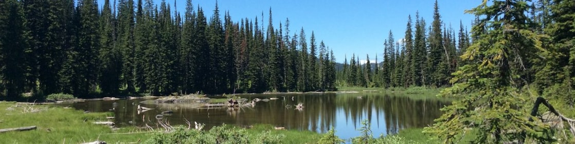 Alpine lake
