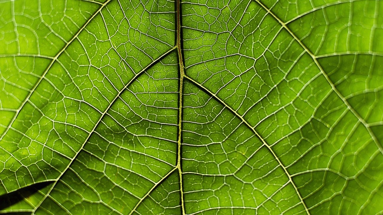 Természetalapú Megoldások