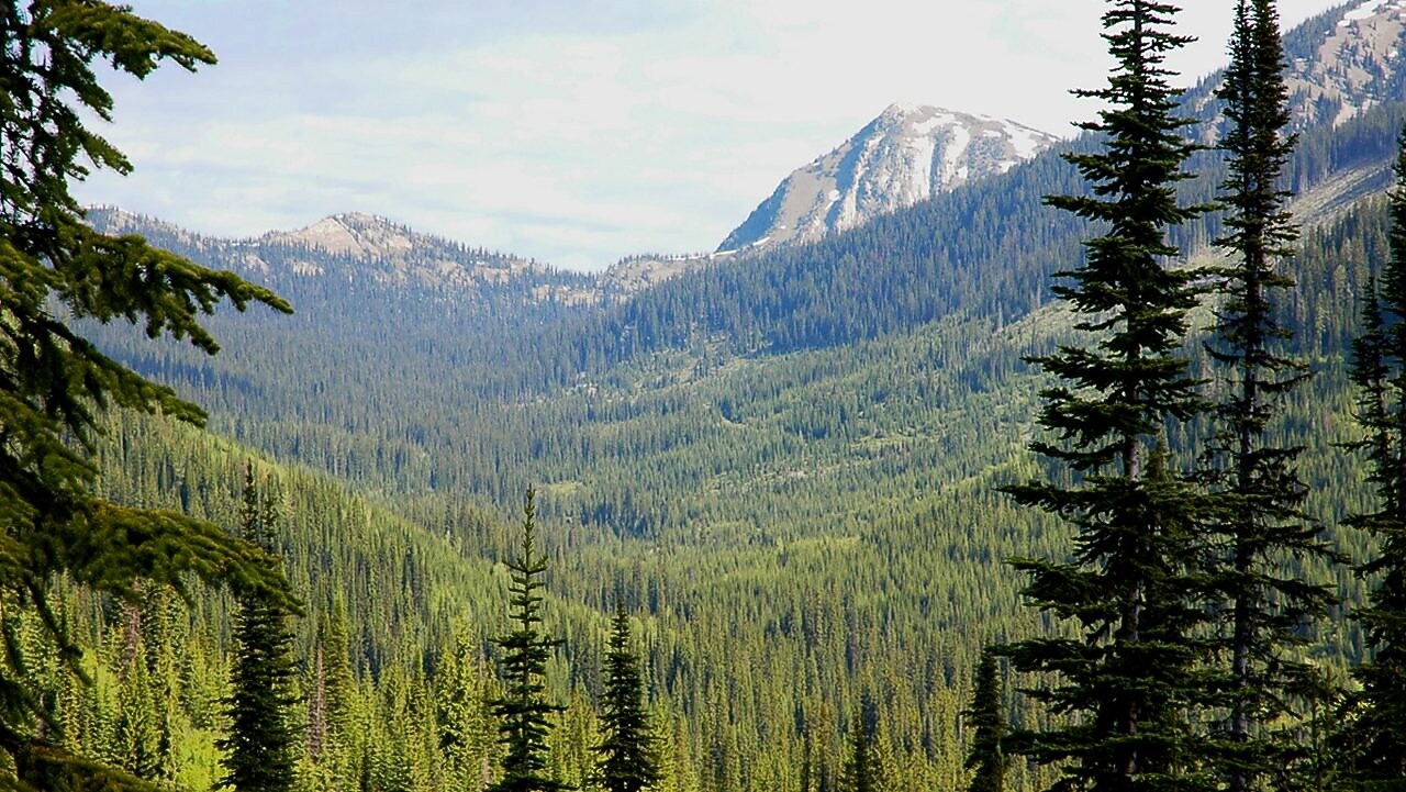 Természetalapú megoldások