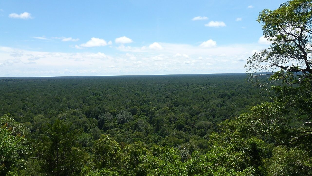 Új karbonsemlegesítési szolgáltatás