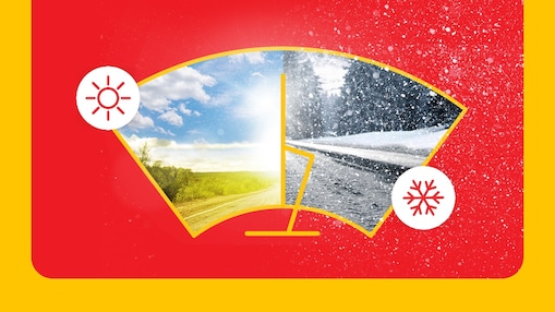 Windshield icon with summer and winter landscape
