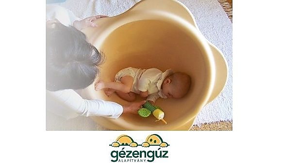 Gézengúz Alapítvány