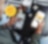A person holding a phone and a hot dog