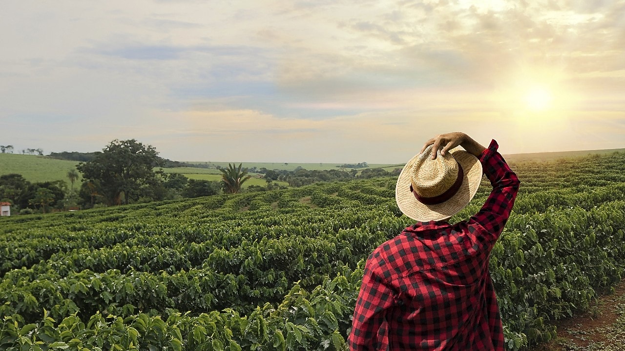 gazda a kávéültetvényen